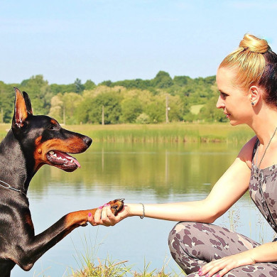 village vacances longeville sur mer complicite chien