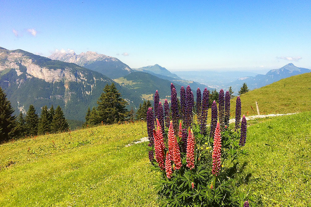 vacances famille montagne la clusaz confins